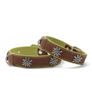Hundhalsband läder - Edelweiss (svart/röd, mocka/pistage, mocka/petrol) – Maul Ledermanufaktur