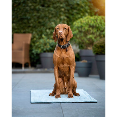 1 Hundfilt Cord 100 cm – Maul Ledermanufaktur
