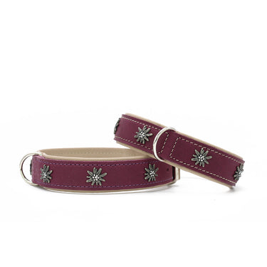 1 Hundhalsband läder Alpenruf – Maul Ledermanufaktur