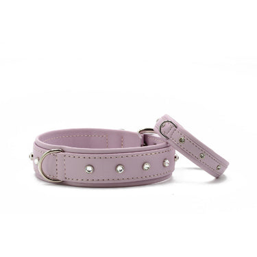 Hundhalsband läder Sunrise – Maul Ledermanufaktur