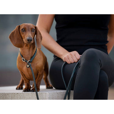 Hundkoppel läder Retriever 160 cm – Maul Ledermanufaktur