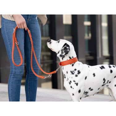 Hundhalsband läder Klassik Soft – Maul Ledermanufaktur