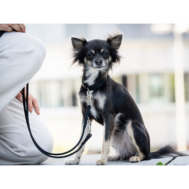 Hundkoppel läder Rundsytt 300 cm – Maul Ledermanufaktur