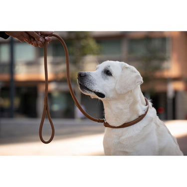 Hundkoppel läder Retriever 160 cm – Maul Ledermanufaktur