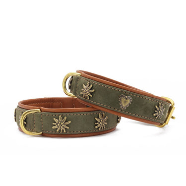 Hundhalsband läder Bergzauber – Khaki och Cognac – Maul Ledermanufaktur