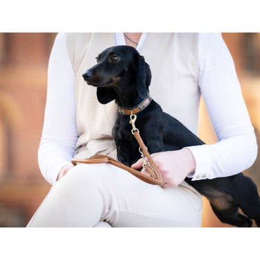 Hundhalsband läder Mini Tax – Maul Ledermanufaktur
