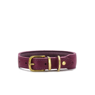 Hundhalsband läder Mono Pop – Maul Ledermanufaktur