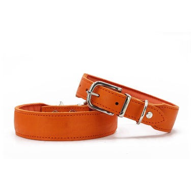 Hundhalsband läder Mono Pop – Maul Ledermanufaktur
