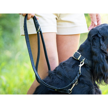 Hundkoppel läder Klassik 300 cm – Maul Ledermanufaktur