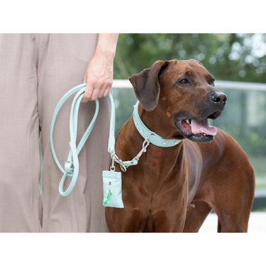Hundhalsband läder Sunrise – Maul Ledermanufaktur