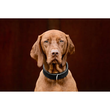 Hundhalsband läder Klassik Premium – Maul Ledermanufaktur