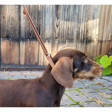 Läderhundkoppel Showleine Fein – Maul Ledermanufaktur