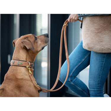 Hundkoppel läder Old English 200 cm – Maul Ledermanufaktur