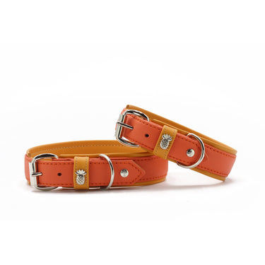 Hundhalsband läder Spring Break – Maul Ledermanufaktur