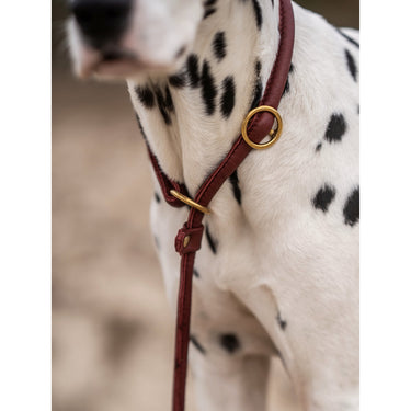 Hundkoppel läder Retriever 160 cm – Maul Ledermanufaktur