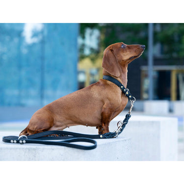 Hundkoppel läder Klassik Premium 300 cm – Maul Ledermanufaktur