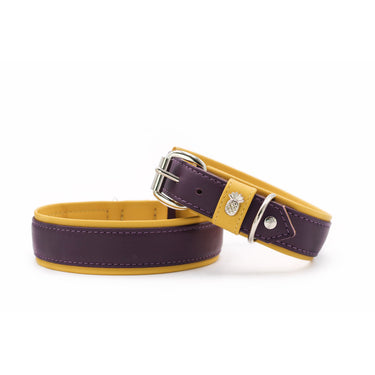 Hundhalsband läder Spring Break – Maul Ledermanufaktur