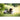 Hundkorg Catty Caro 50 cm – Maul Ledermanufaktur
