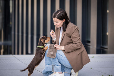 Hundhalsband läder Mini Diamond – Maul Ledermanufaktur
