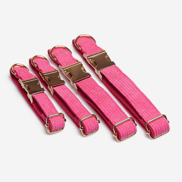 Hundhalsband Click Pop Pink