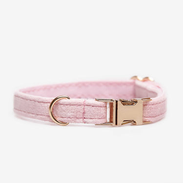 Hundhalsband Petit Soft Pink Don Lorino
