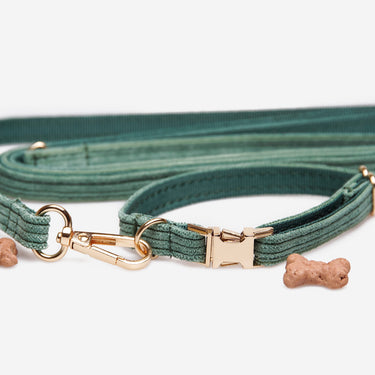 Hundhalsband Petit Pop Green Don Lorino