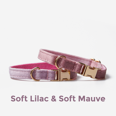 Hundhalsband Petit Soft Lilac