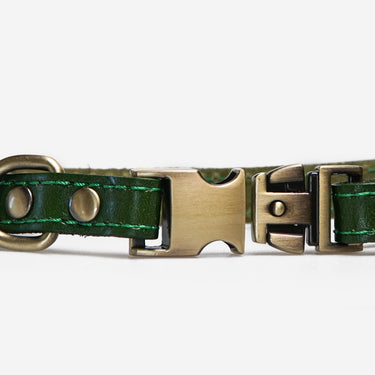 Hundhalsband Riko Green