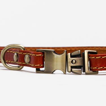 Hundhalsband Riko Orange