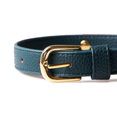 Hundhalsband Neo Ocean