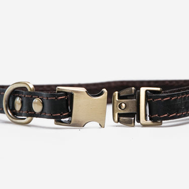 Hundhalsband Riko Brown