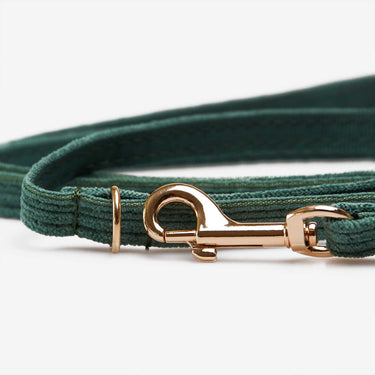 Hundkoppel Petit Pop Green 180cm Don Lorino