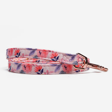 Dog leash Flower Blossom Pink