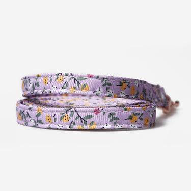Dog leash Flower Lavender Lemon