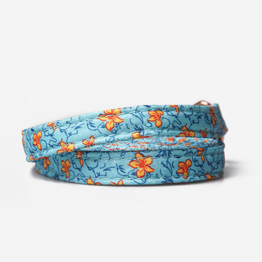Dog Leash Flower Sky Bloom