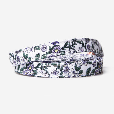Dog leash Flower Violet Meadow