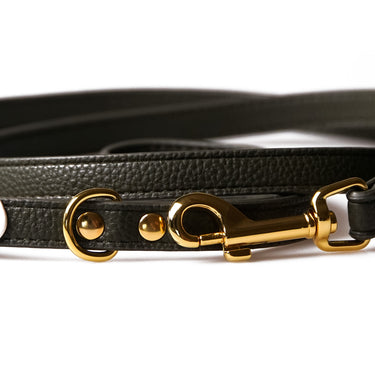 Dog Leash Neo Forest Green