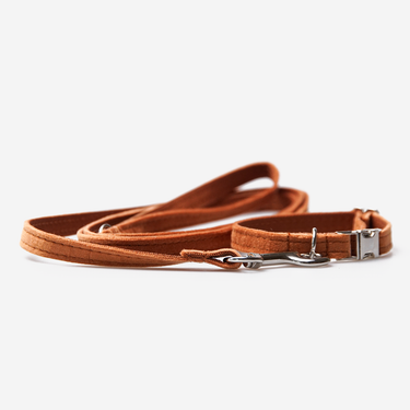 Hundhalsband Petit Soft Caramel
