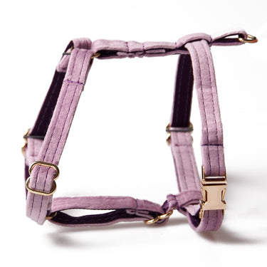 Hundsele Petit Soft Lavendel - Don Lorino