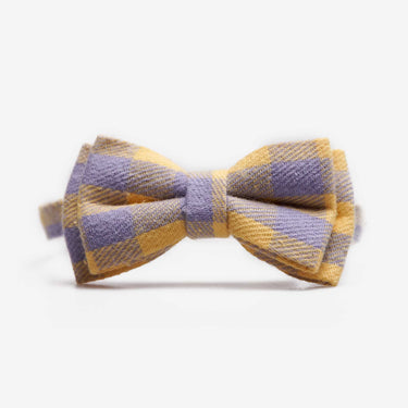 Katthalsband Penny Yellow Purple Don Lorino