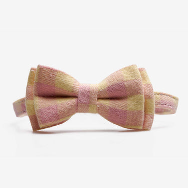 Katthalsband Penny Yellow Pink Don Lorino