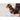 Hundhalsband nappaläder Mini Lord & Lady