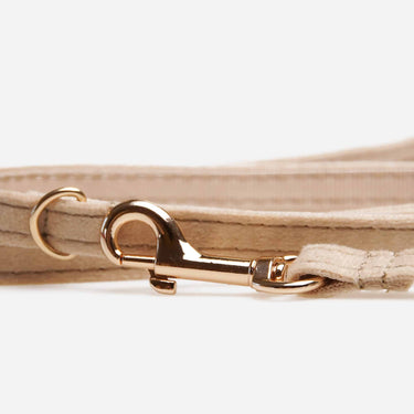 Hundkoppel Petit Soft Champagne 180cm Don Lorino