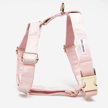 Hundsele Click Soft Pink Don Lorino