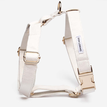 Hundsele Click Soft Snow Don Lorino