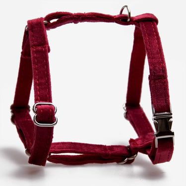 Hundsele Petit Soft Burgundy Don Lorino