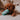 Hundhalsband till valp