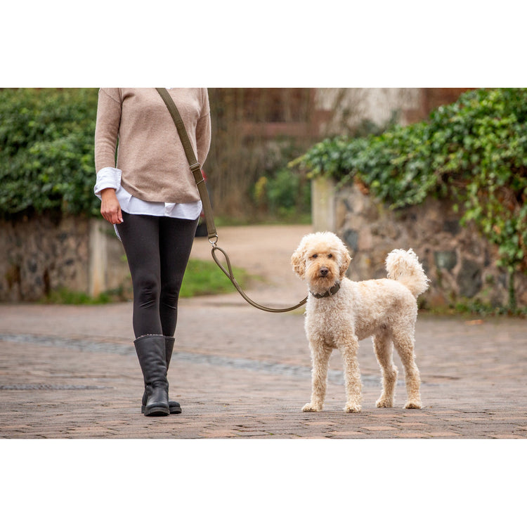 Dog Leash Leather Round-Stitched 240 cm – Maul Ledermanufaktur