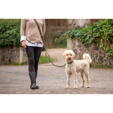 Hundkoppel läder Rundgenäht 240 cm – Maul Ledermanufaktur