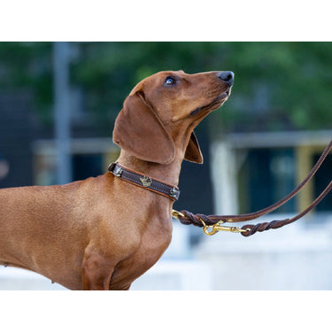 Hundkoppel läder Klassik Premium 200 cm – Maul Ledermanufaktur